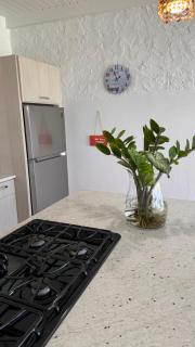 3BR Villa by Eagle Beach POOL - Palm-Eagle Beach - 4