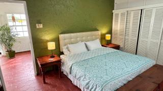3BR Villa by Eagle Beach POOL - Palm-Eagle Beach - 8