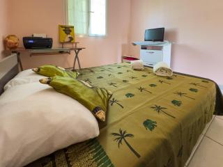 Le Cocon Tropical - A 15min à pied de la plage - 1