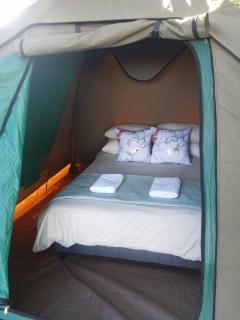 Dome Tent - Hanover Road - 2