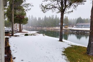 Merganser Memories - 3