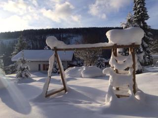 Ferienhaus Bruno - Chalet mit 2 Schlafzimmern - Feldberg - 8