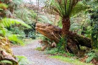 Kells Bay House and Gardens - Kells - 9