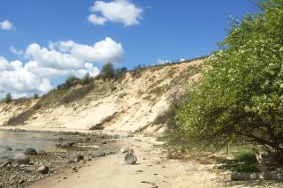 ruhige Lage mit Terrasse, gratis Nutzung vom AHOI Erlebnisbad und Sauna in Sellin - Villa Käthe FeWo 04 - Göhren - 4
