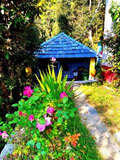 Kareri Kommune- The Last House - Dharamshala - 9