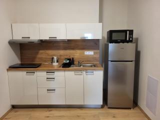 City Center Apartments - Moderna Brno Římské náměstí IV - Brno - 1