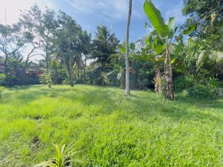 Riverside Nature Haven Villa - Weligama - 5