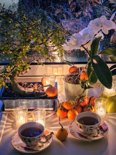 Terrasse de Malissol - Vienne - 7