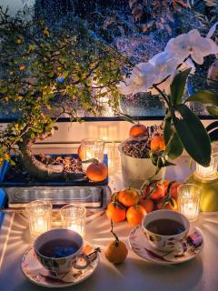 Terrasse de Malissol - Vienne - 0