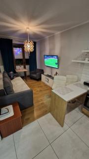 Apartament Gwiazda przy Stoku na parterze z ogródkiem - Krynica Zdrój - 7