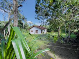 Riverside Nature Haven Villa - Weligama - 6