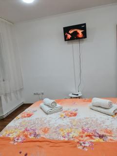 Apartament modern Cristina&Jessica - Mediaş - 3