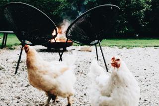 Tiny House met privé hottub - 2