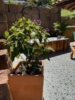 Finca Guacari (San Gil) - San Gil - 1