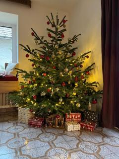 Pension Blockheidehof - 8