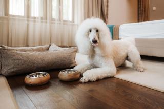 Hotel Zagreb - Health & Beauty - 9