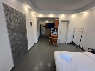 Central Comfy Studio With a Balcony in a Presitigious Area - Bucharest - 5