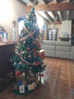 Posada Rincón del Pas - 7