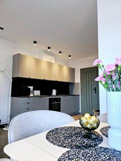 Apartamenty Chilldziówka w Miłkowie z sauną i z grillem Karpacz - 4