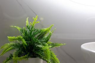 Cozy Familiar Retreat in the Centre of Granada - Grenade - 5