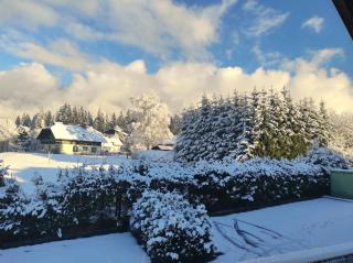 Alpenblick Apartment - 2