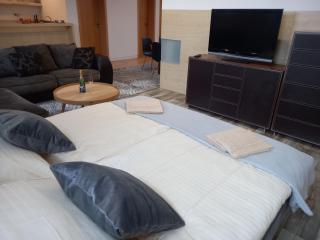 Apartmán Centrum - 3