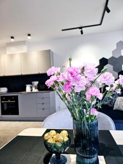 Apartamenty Childziówka w Miłkowie z sauną i z grillem Karpacz - Miłków - 1