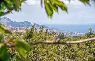 Amazing Home In Piedimonte Etneo - Piedimonte Etneo - 3