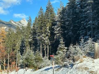 Andys Secret Apartment - 7