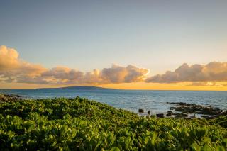 Maui Banyan H-210 - 5