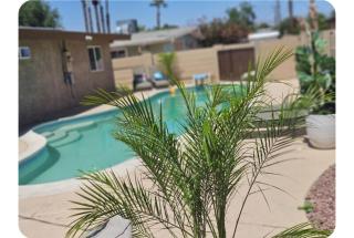 Pool home - 5