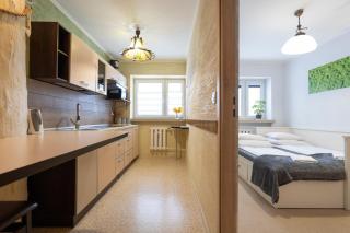 APARTAMENT NAD KAMIEŃCZYKIEM IV - Szklarska Poręba - 3