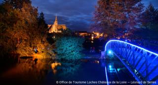 Le Perroquet Bleu - La Chapelle-Blanche-Saint-Martin - 4
