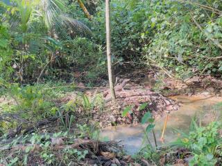 Riverside Nature Haven Villa - Weligama - 9