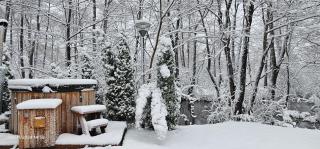 Vodenica Vrelo Chalets - Vrelo Koreničko - 9