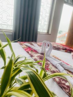Farah Guest Inn - Haputale - 6