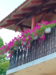 Etno kutak Jaćimović - 8