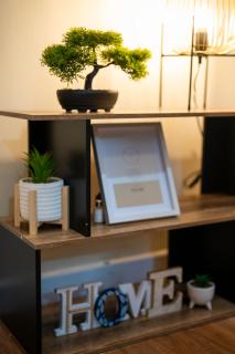 Silvester Residence - Liverpool - 6