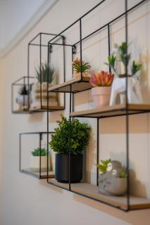 Silvester Residence - 5