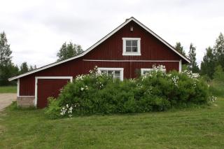 Lamminkangas Cottage - Kalmari - 3