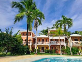 Appartement Paraiso 150m playa ballenas - Las Terrenas - 9