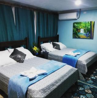 Hospedaje La Galerie - 1