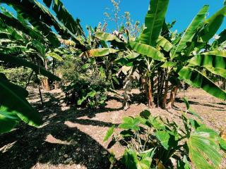 Honey Comb Villa - 4