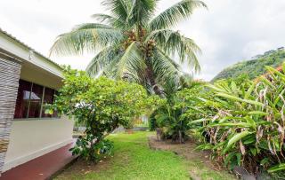 Pension TE MITI - PLAGE-BEACH 200m - Mahana Parc & Vaiava Beach pk18 - B&B CHAMBRES ou DORTOIR - Punaauia - 8