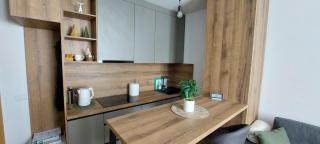 Apartment A1 1 Aparthotel Vucko Private host - Jahorina - 5