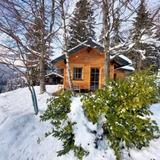 Hütte Neuhaus - Annaberg im Lammertal - 2