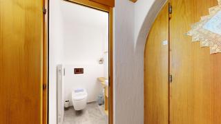 Suot Larsch - Celerina - 1