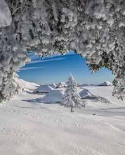 Riverdance with mountain view, garden and private parking - 2