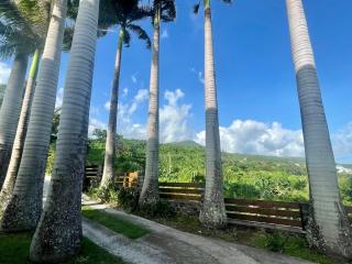 Grande Villa au calme - Vue exceptionnelle - Climatisation - Piscine sel chauffée - Jardin Tropical - Vincendo - 3