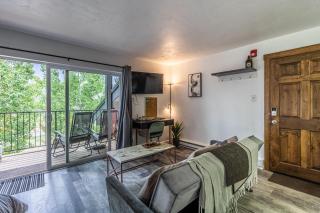 Studio Purgatory Townhome 110 - The Copper Bungalow - Durango CO - 9